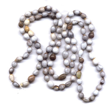 Bulk Beads: Job's Tear Strands