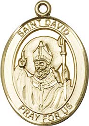 Religious Medals: St. David of Wales GF Medal