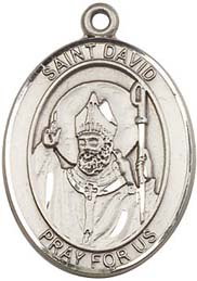 Religious Medals: St. David SS Saint Medal