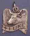 Religious Saint Holy Medal : Sterling Silver: Gospel of Luke SS* Medal