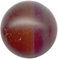 Semi-precious Beads: Amber Horn 8mm